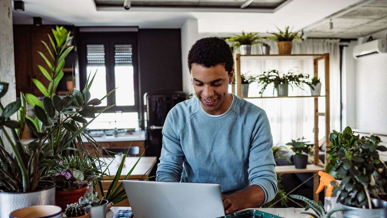 A man working on a laptop in front of a potted plant.