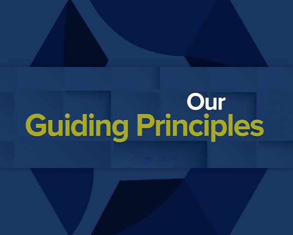 Guiding Principles Cover