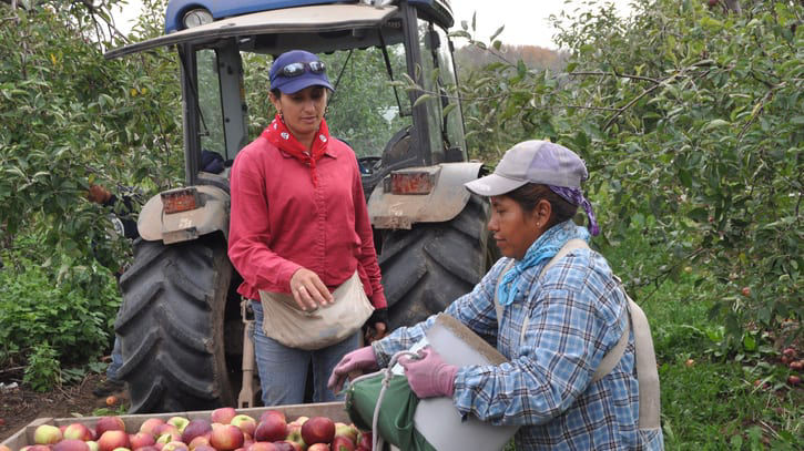 Two women standing next to a tractor in an apple orchard.