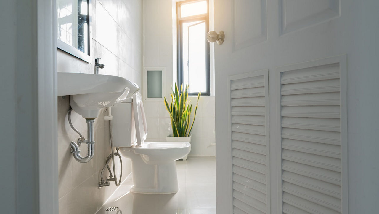 A white bathroom with a toilet and a plant.