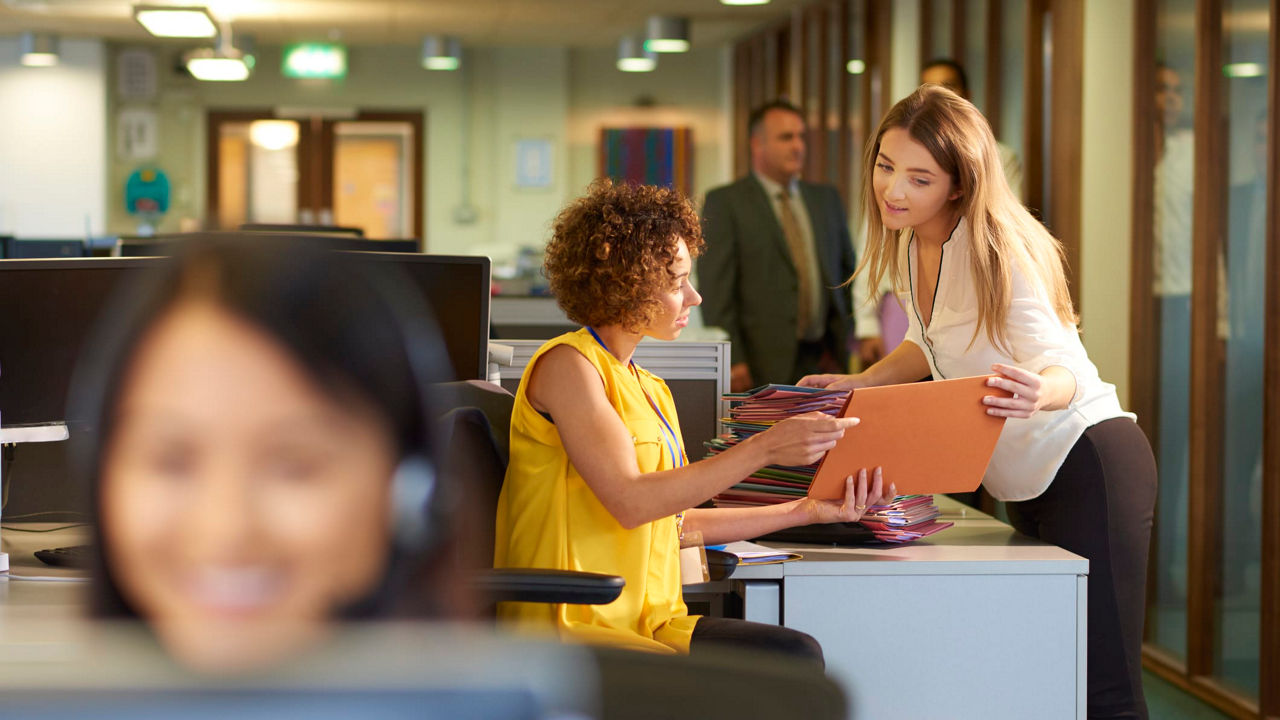 A group of people working in an office.