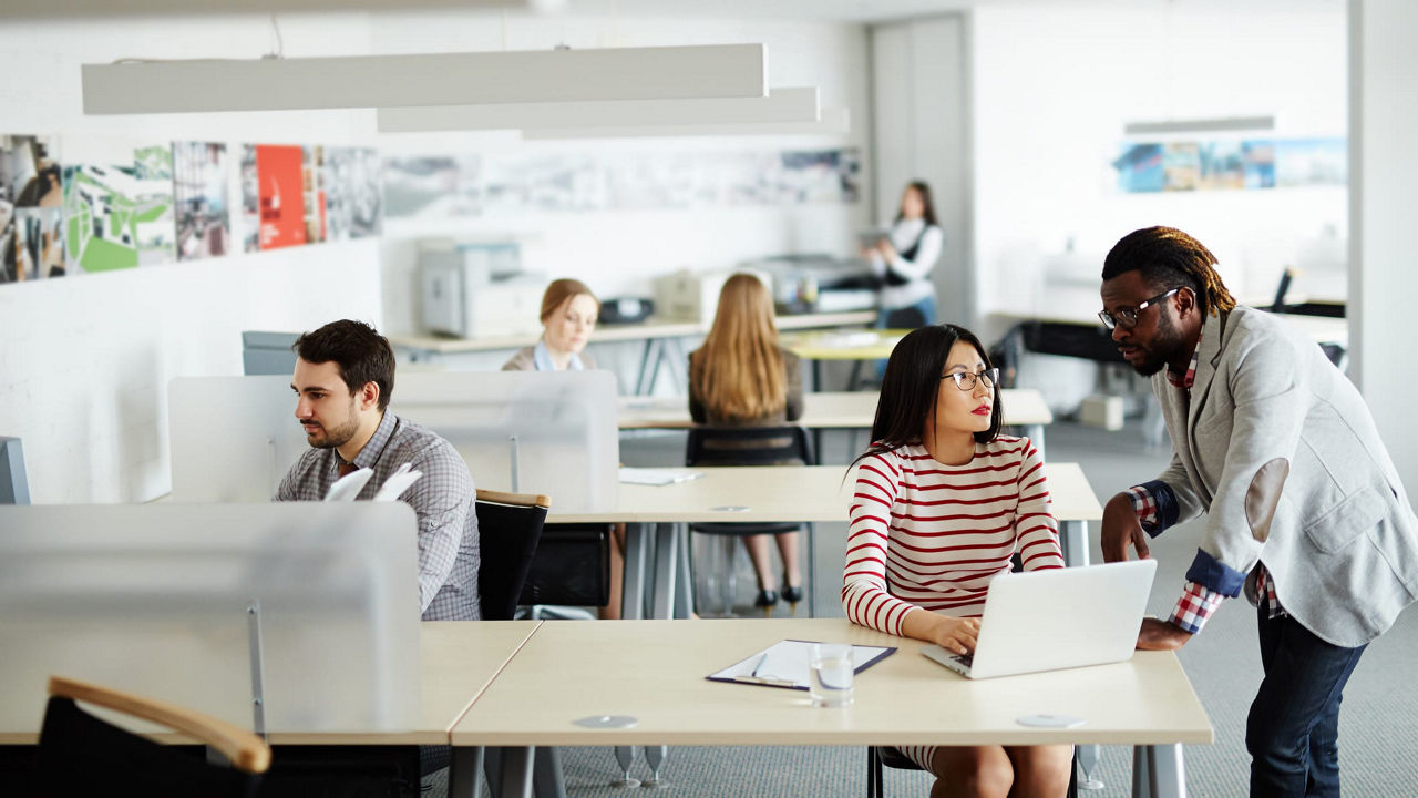 A group of people working in an office.