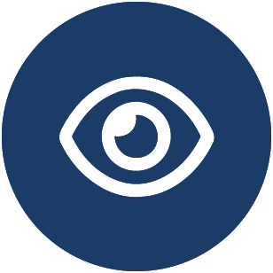 Vision Icon