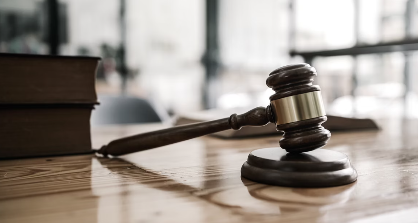 Court judicial
