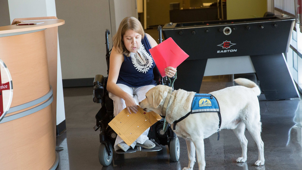 A woman in a wheelchair with a labrador retriever.