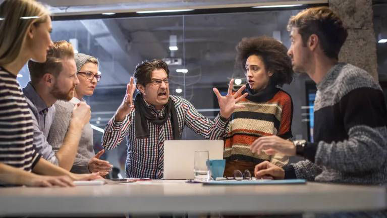 Interpersonal Mistreatment, Perceived Discrimination and Minority Identity Management: An Attribution Theory Perspective