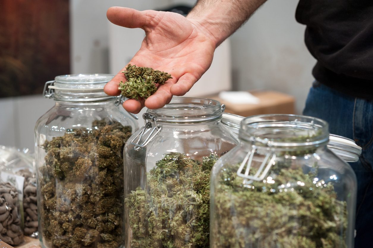 Glass jar full of Cannabis Sativa for sale at a market stall.