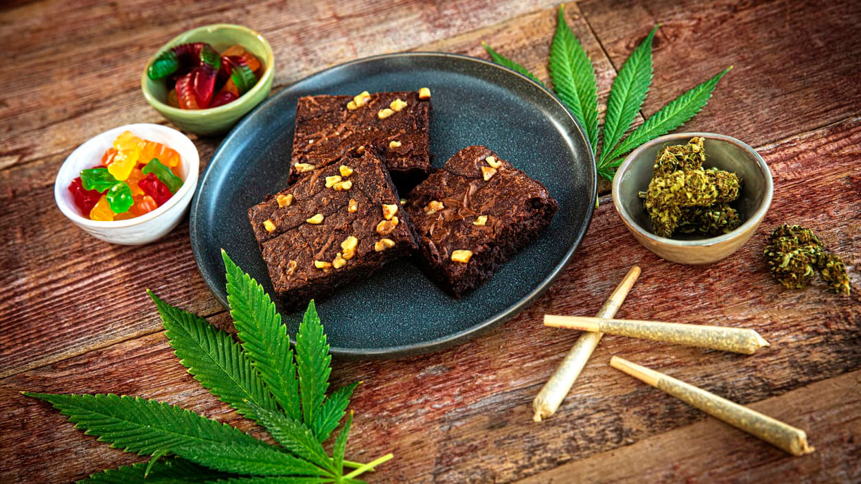 Cbd brownies on a plate next to a bowl of marijuana.