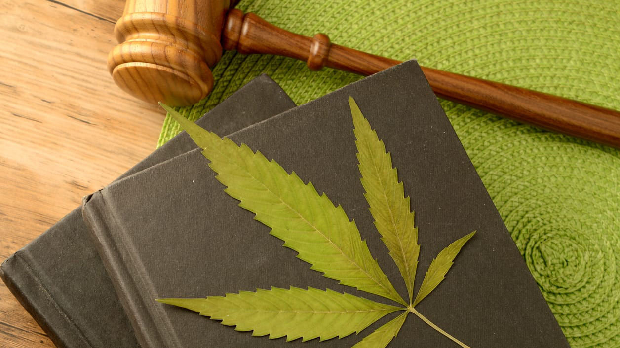 Marijuana leaf on a book with a gavel on top.