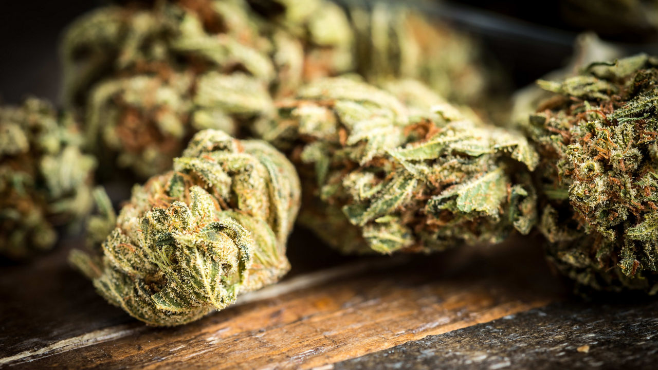 A close up of marijuana on a wooden table.