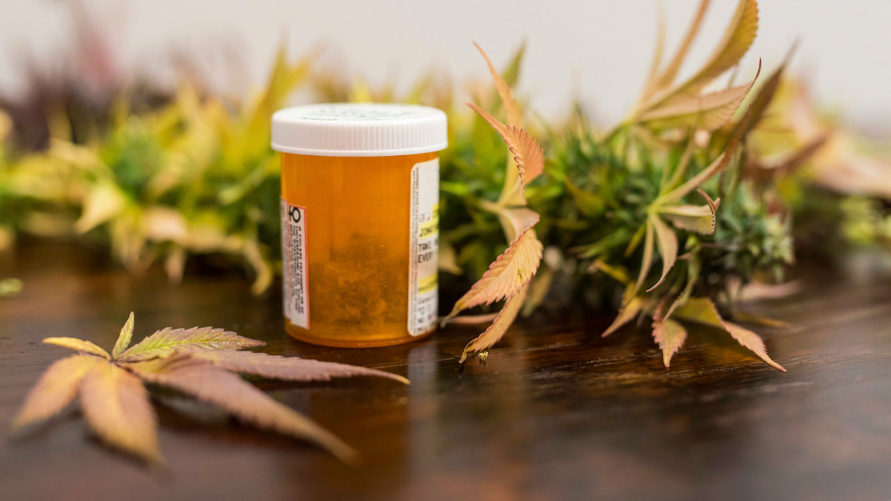 A bottle of cbd sitting on a table next to cannabis plants.