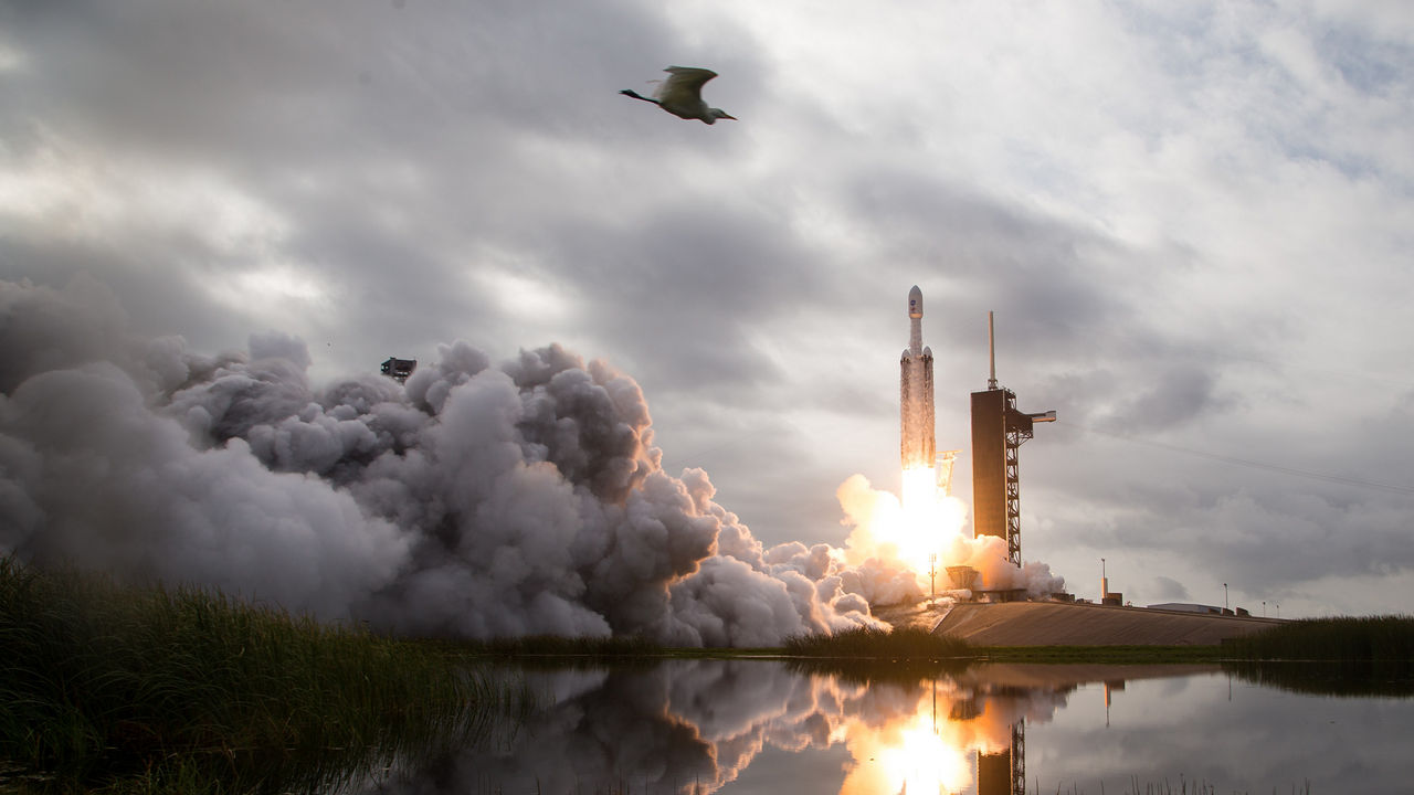 Cloud of grey smoke on left with NASA shuttle launch on right with egret flying above