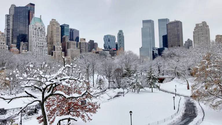 Understanding New York City’s Height and Weight Discrimination Law