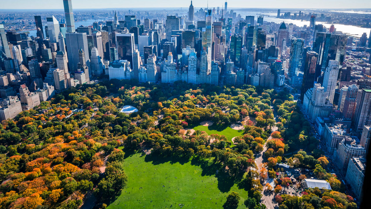 Aerial view of central park in new york city.