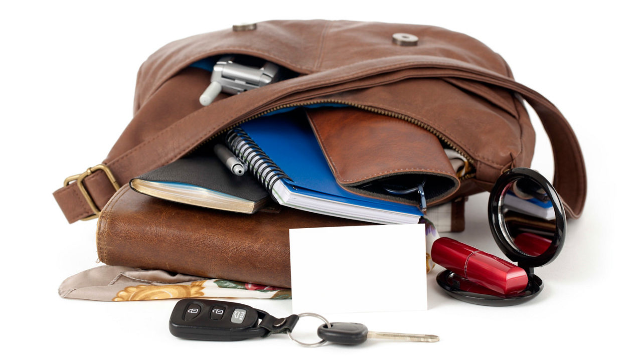 The contents of a brown bag on a white background.