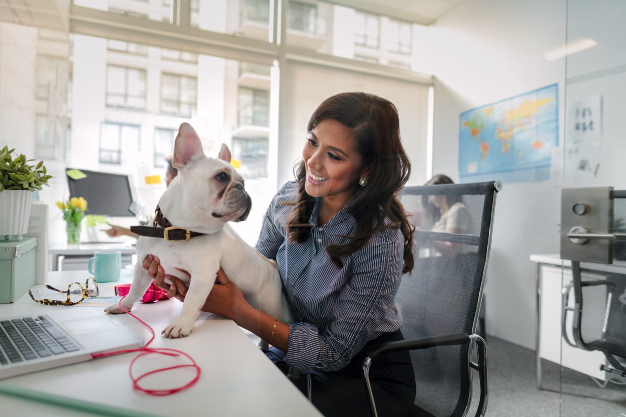 Dog in a woman's lap in front of a desk 