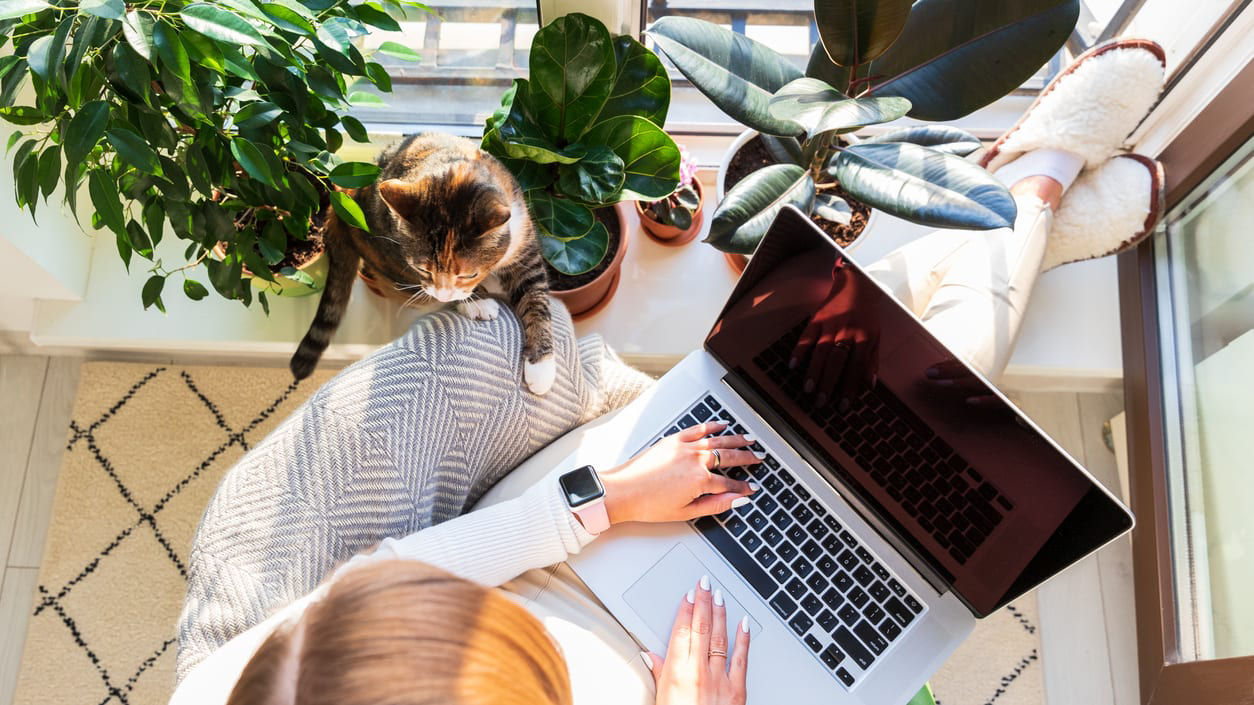 A woman sitting on a window sill with a cat and a laptop.