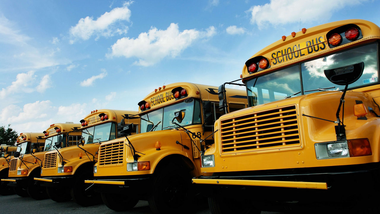 A row of yellow school buses.
