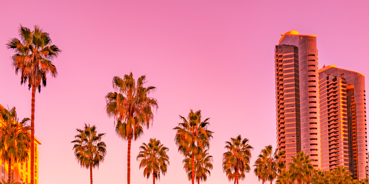 Palms