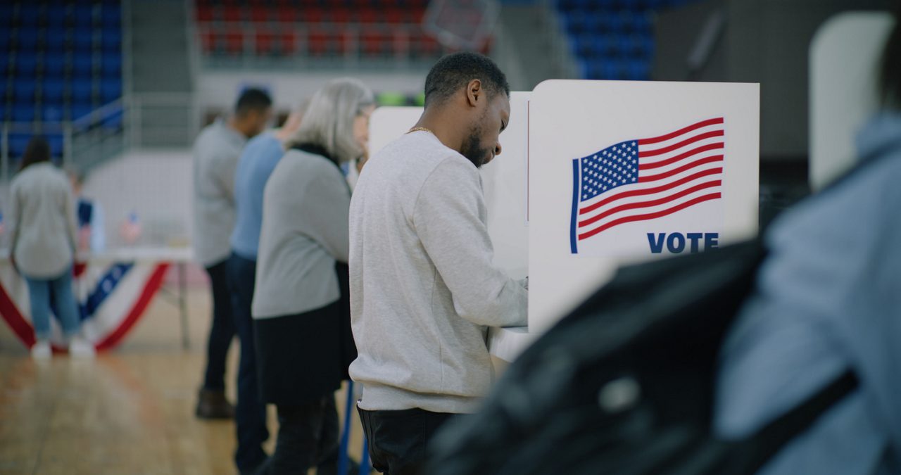 Voters standing before voting booths.