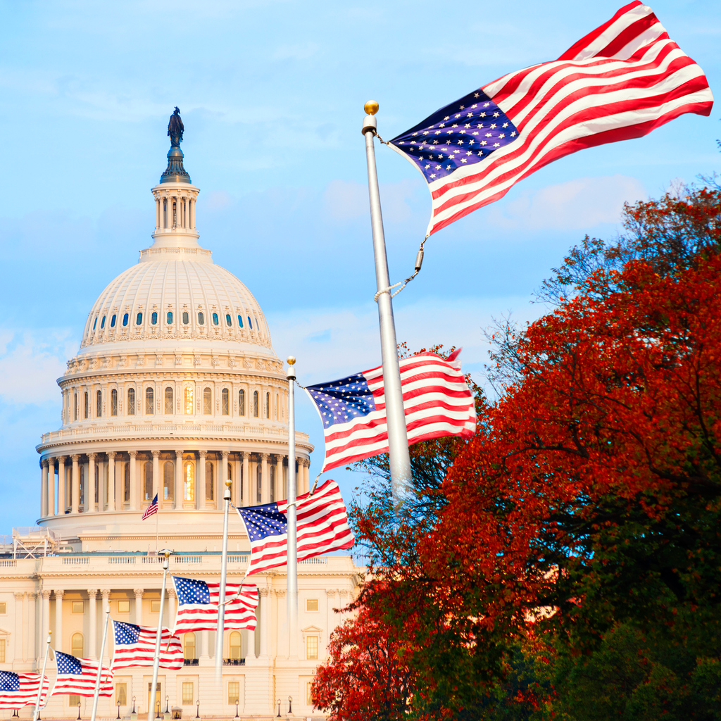 Row of American flags leading to Capitol building