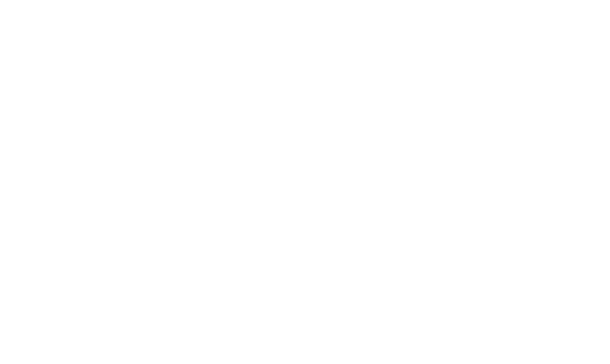 AWS partner of the year logo