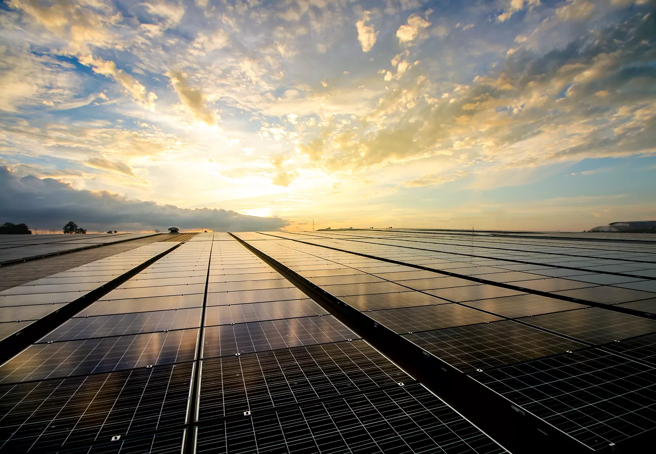 a field of solar panels under a setting sun