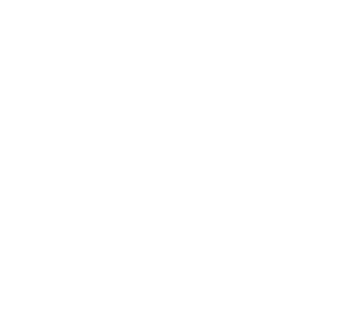 White text reading CASTELL appears centered on a black background. Above the word is a decorative floral or snowflake-like emblem composed of symmetrical petal shapes. The design is minimal and monochrome, emphasizing clean lines and high contrast. Overall, the image conveys a refined and elegant visual identity.
