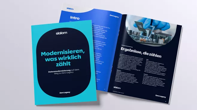 Vorschau Guide Datenmodernisierung