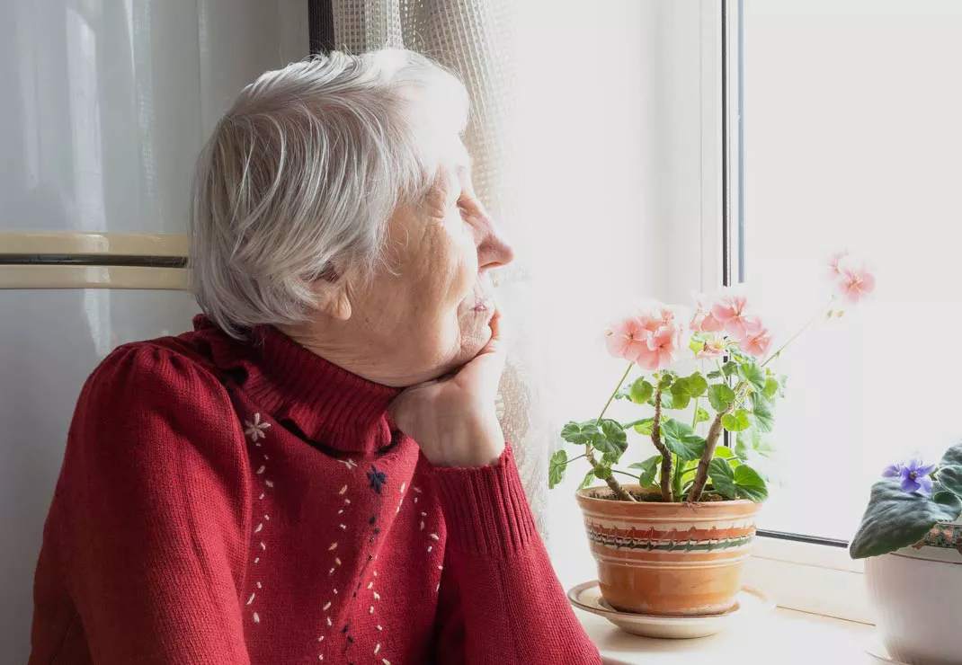 Connecting food banks, ending hunger