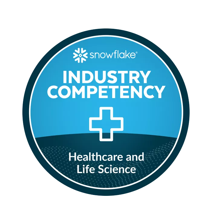 industry competency snowflake