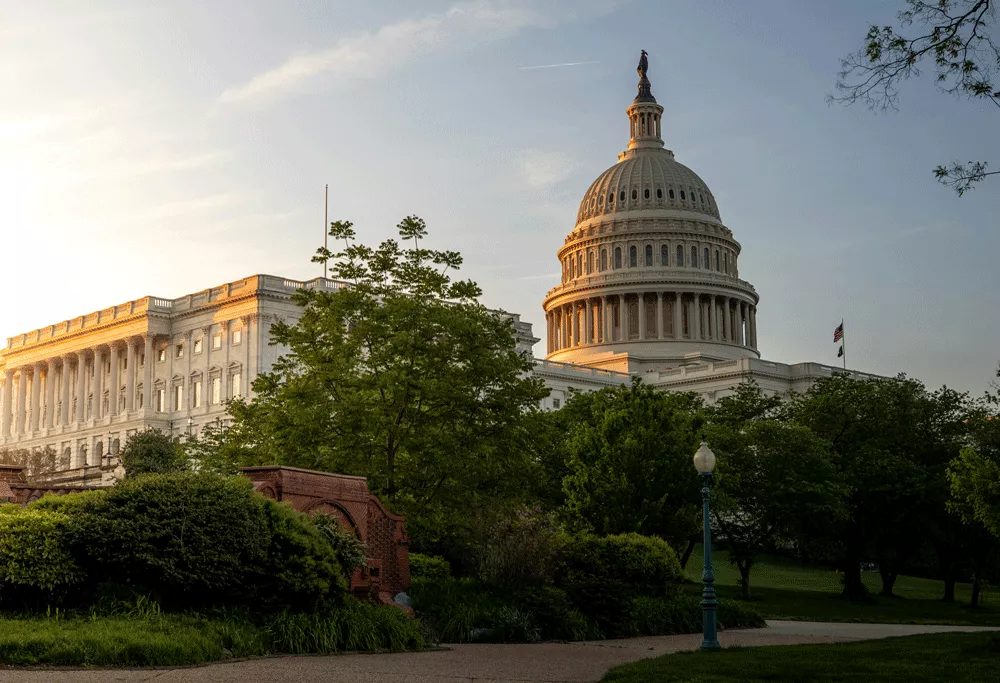 beyond the buzz government
