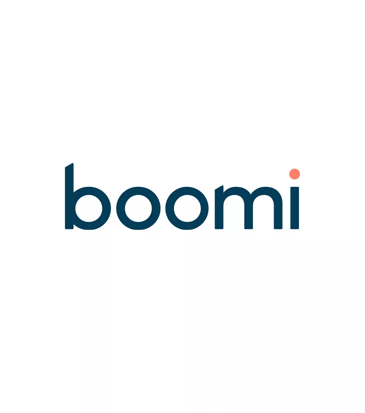slalom boomi partner