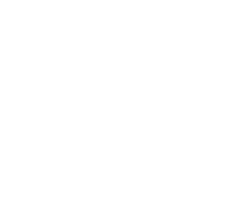 Castell logo