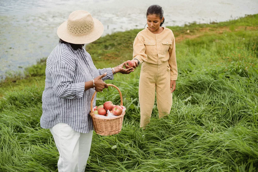 women picking fruit