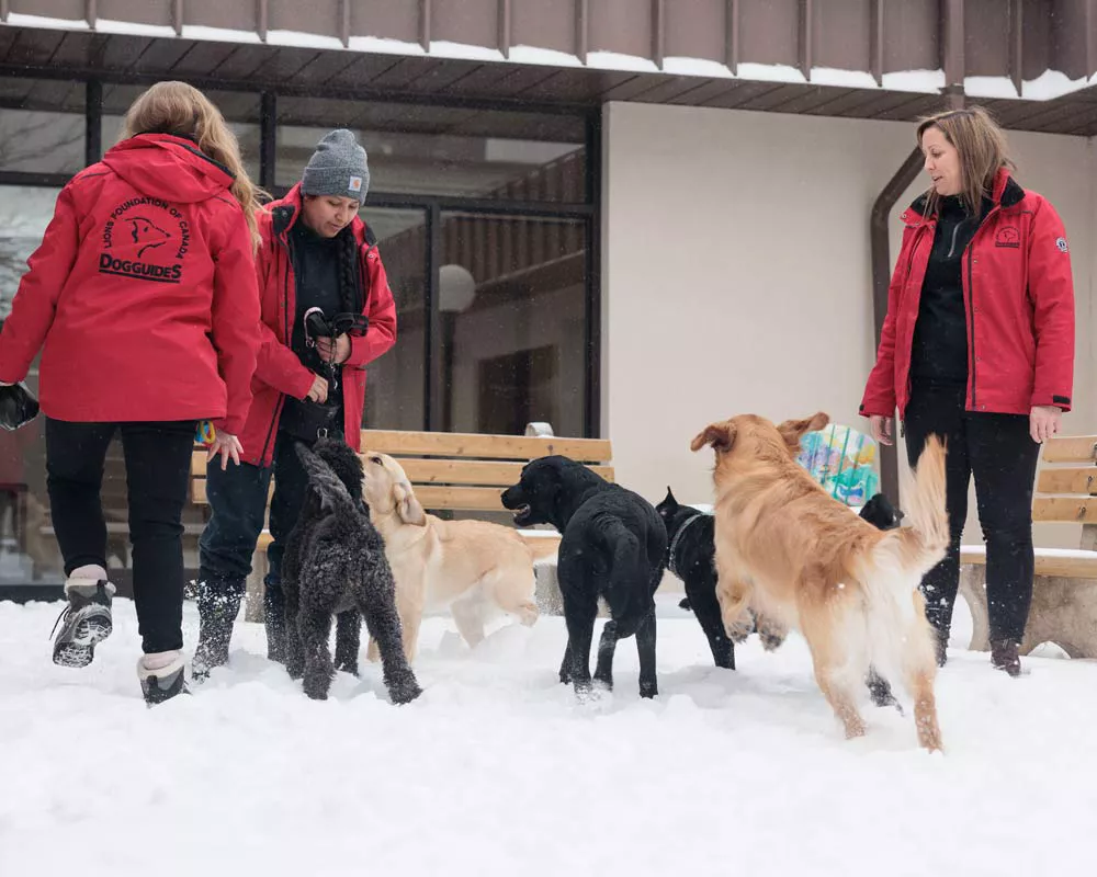 補助犬と一緒にいるDog Guideのトレーナー