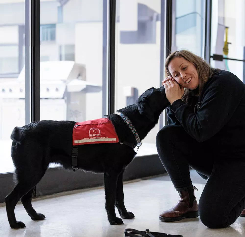 犬とコミュニケーションをとっている Dog Guide のトレーナー
