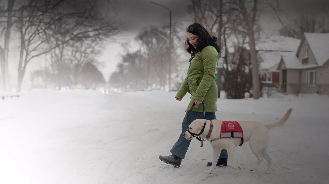 Femme promenant un chien-guide dans la neige.