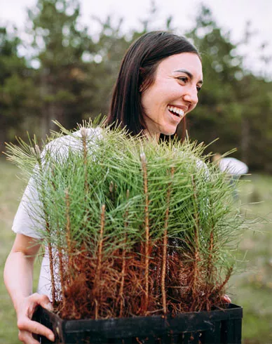 Woman holding  green branches from tree