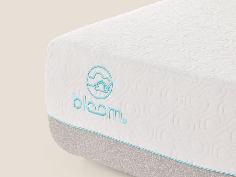 Bloom Cloud Mattress