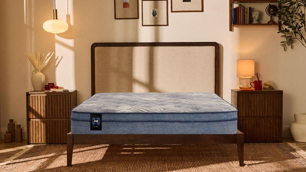 Sealy mattress promotion