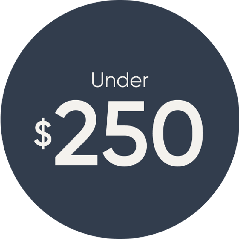 Bedroom Basics Under $250