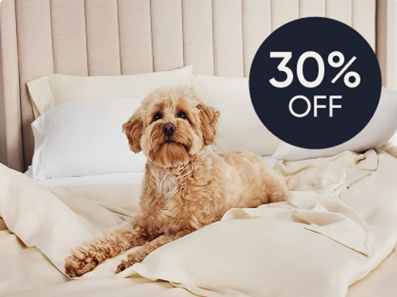 Dog on sheets on bed