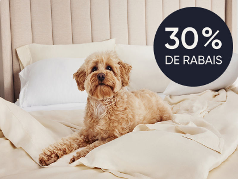 Chien sur des draps sur le lit