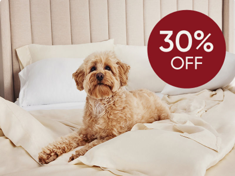 Dog on sheets on bed