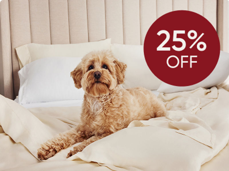 Dog on sheets on bed