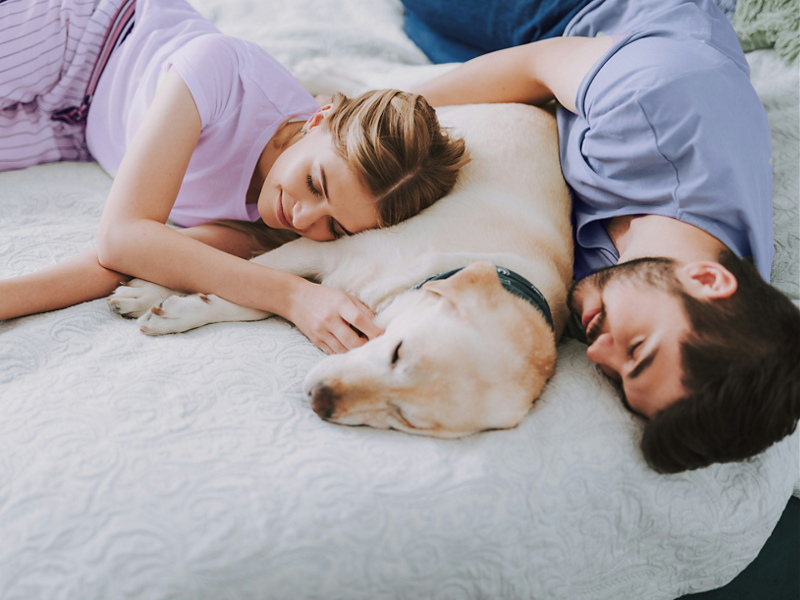 alt text hero banner