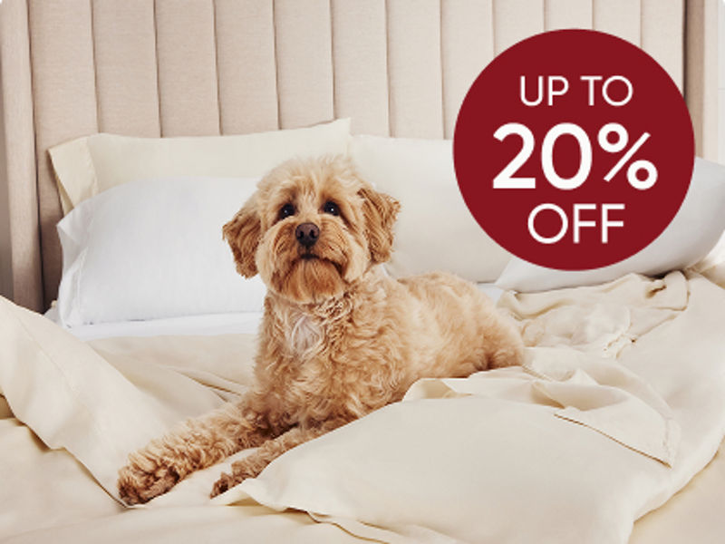 Dog on sheets on bed