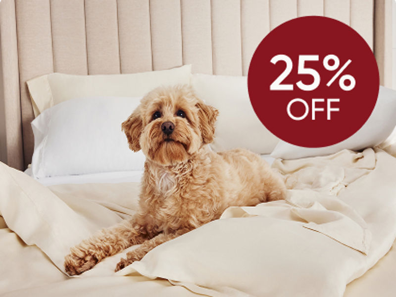 Dog on sheets on bed