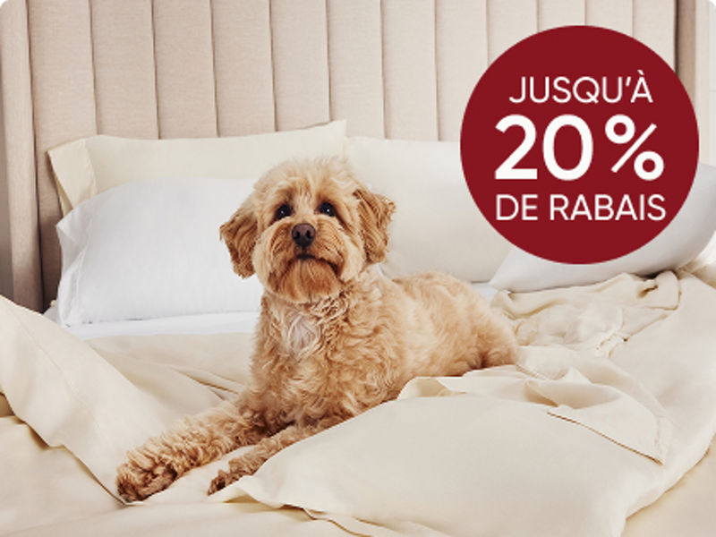 Chien sur des draps sur le lit